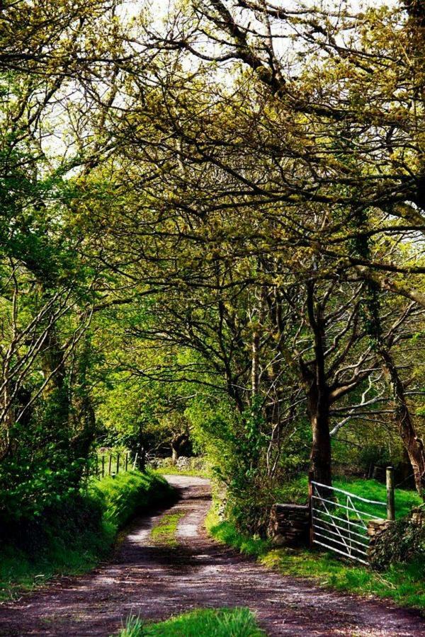 Cilhendre Holiday Cottages - The Dairy Swansea Bagian luar foto