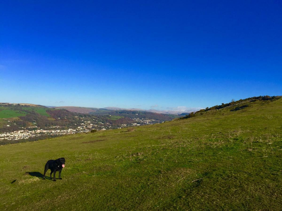 Cilhendre Holiday Cottages - The Dairy Swansea Bagian luar foto